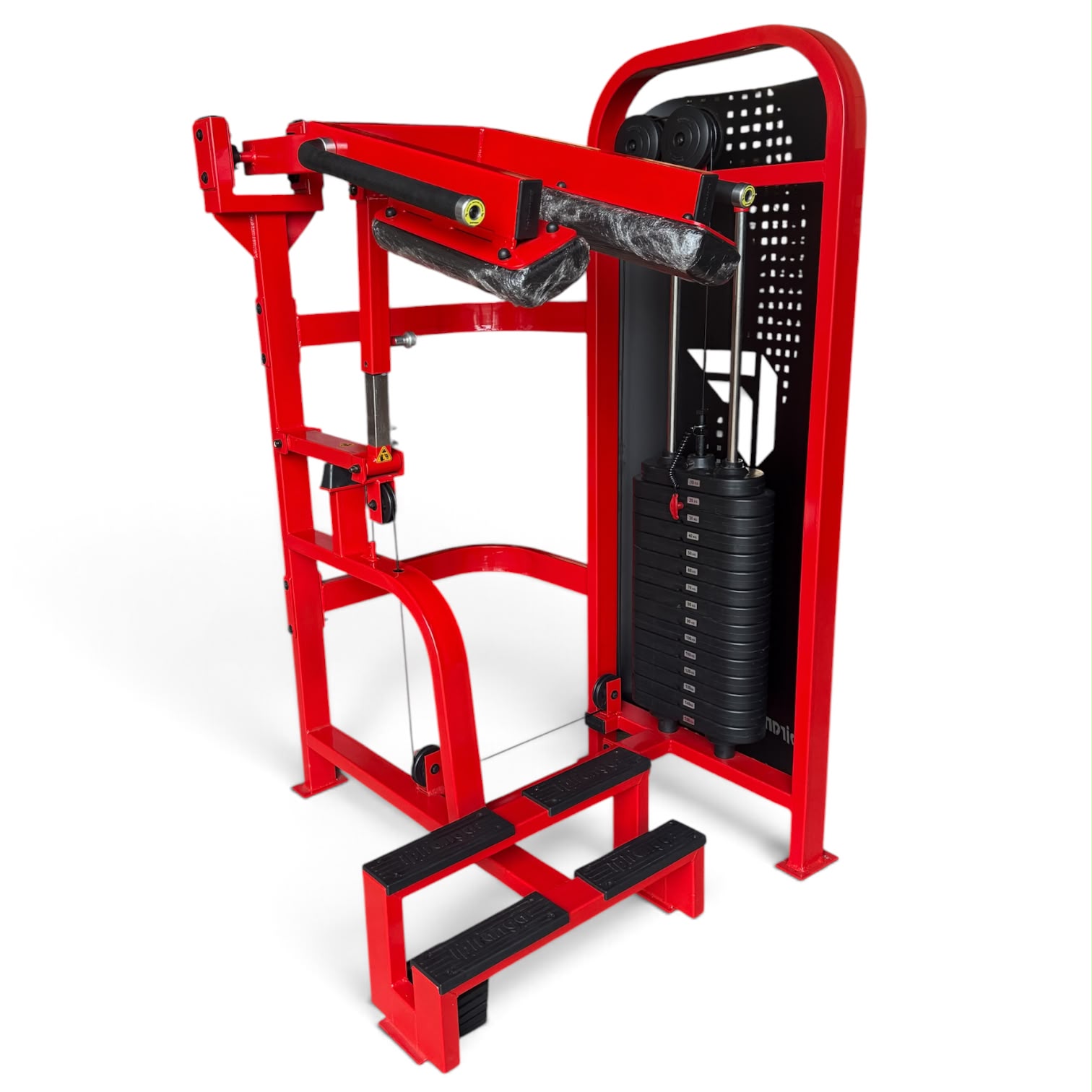 Panturrilha em pé com carga Calf Raise