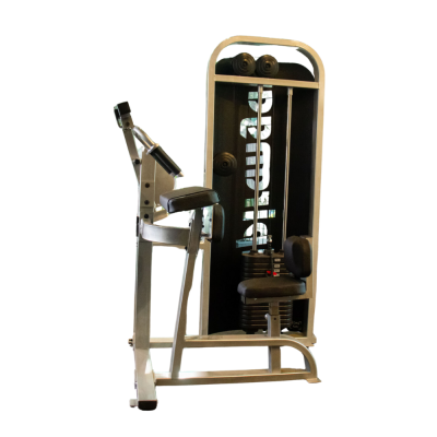 Tríceps sentado Máquina